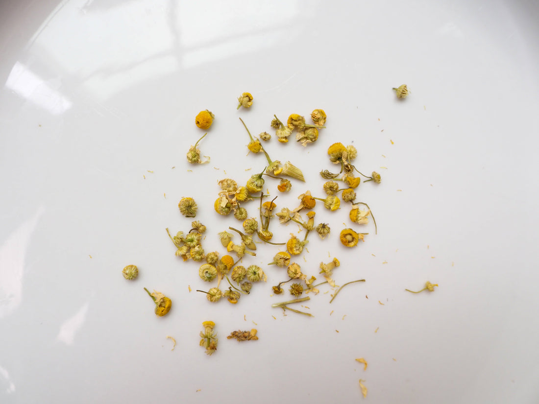 German Chamomile